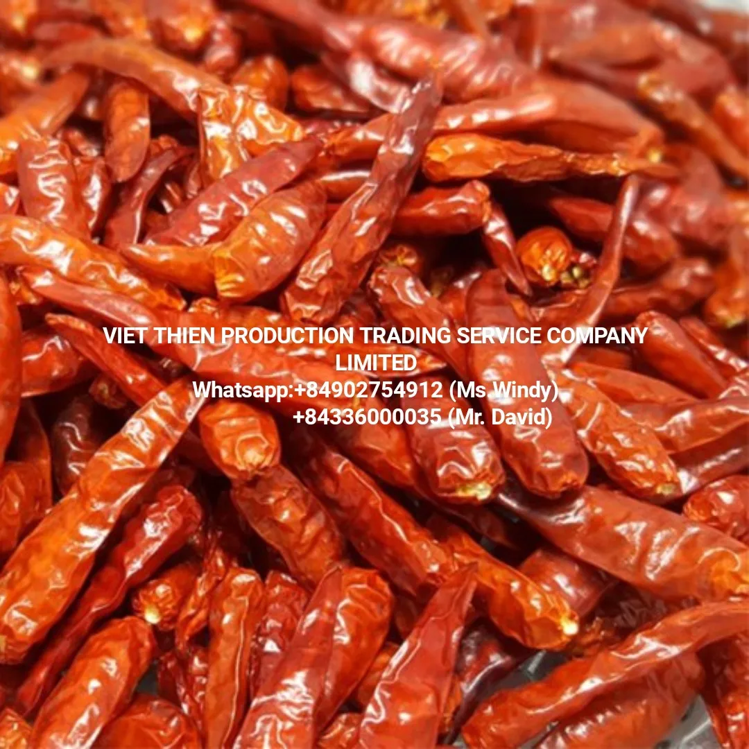 High quality and good price wholesale dried chili with export standards from Vietnam