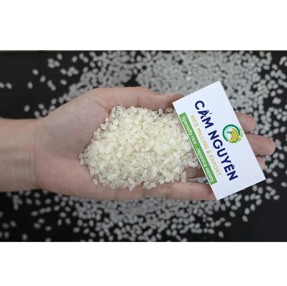 
 ВЬЕТНАМСКИЙ РИС Cam, экспорт риса, оптовая продажа, японский рис 2020, урожай, горячая Распродажа, дешевый, средний круглый, 5% сломанный японский рис для суши  