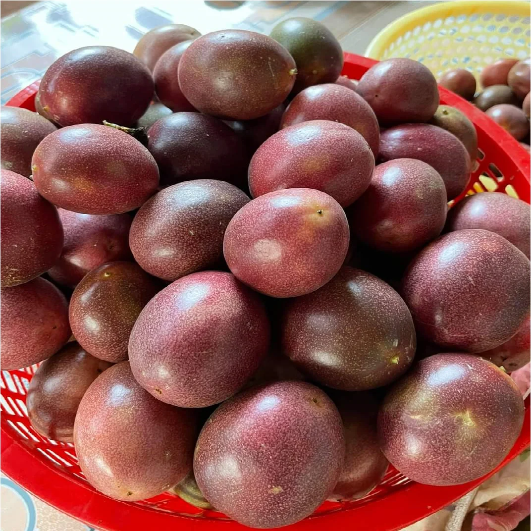 Лучшая цена свежий страстный фрукт из Вьетнама/страстные фрукты Вьетнама высокое качество