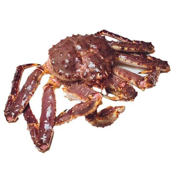 Low Price Per KG Quality Live King Crab, Where To Buy Quality Alaskan Live King Crab From Norway