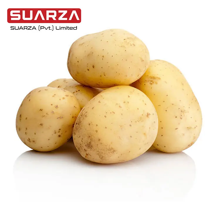 Горячая Распродажа, новый урожай свежего картофеля голландии для Mideast