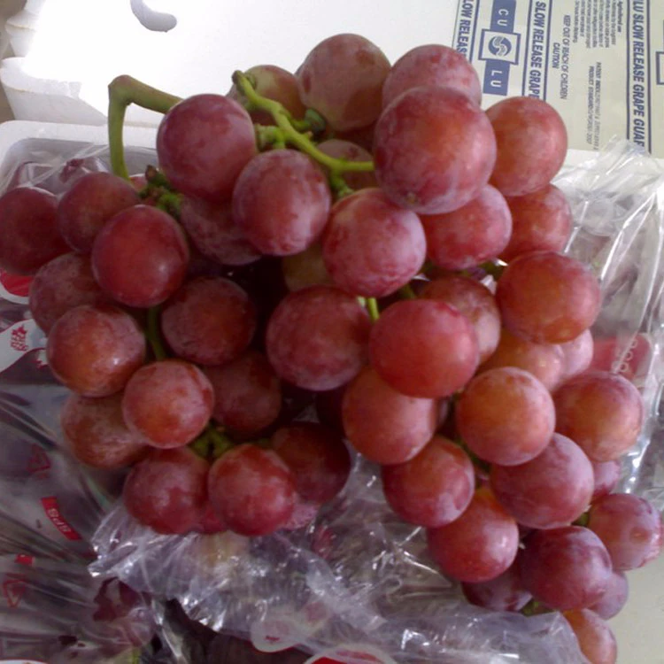 Grapes.jpg