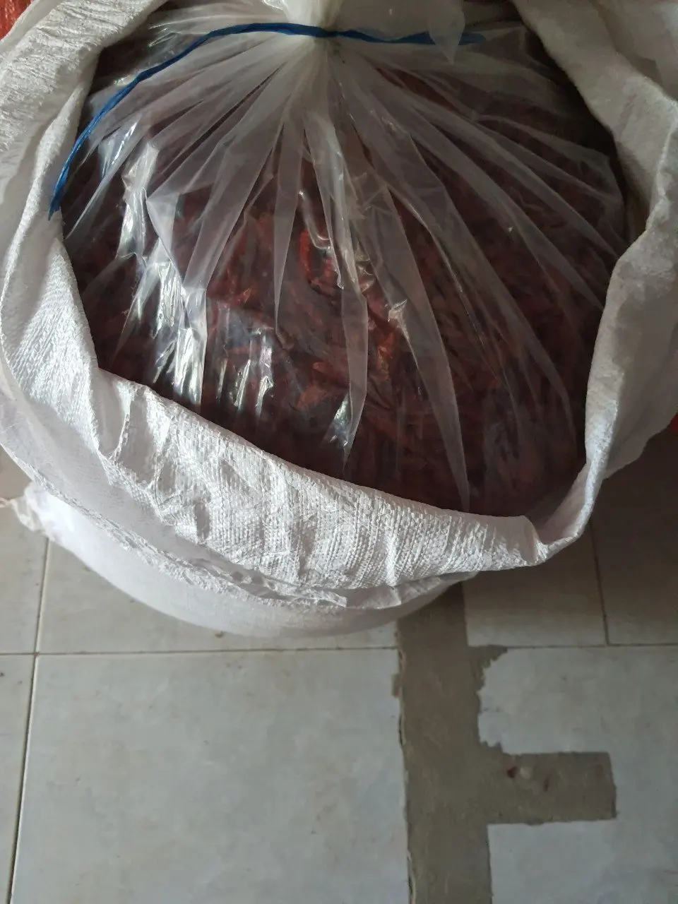 chili dried (46)