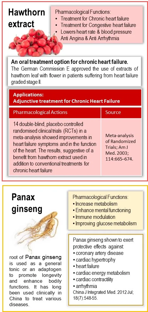 Безопасная без побочных эффектов безопасная натуральная долгосрочная кардио-защита травяная формула для слабого сердца в капсулах кардио хпс