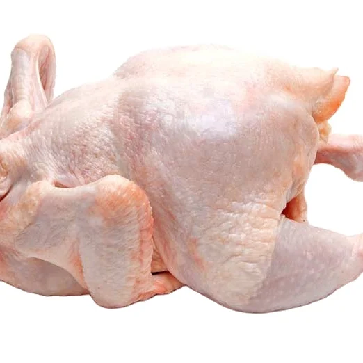 Halal замороженные цельные куриные детали со скидкой 40% Для оптовых/международных покупателей