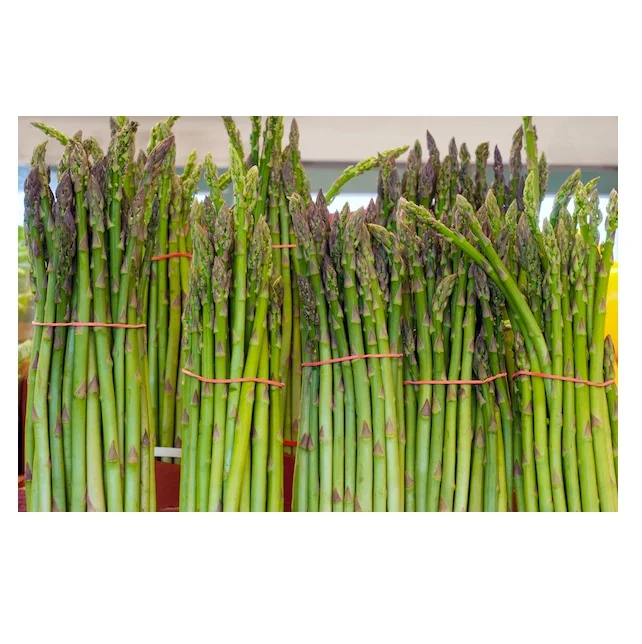 Top Quality Fresh Asparagus Vegetables for Sale At Best Price