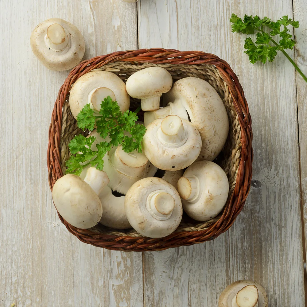 Italian top quality grilled champignons 185g pickle jar condiment in sunflower oil appetizer platters for export