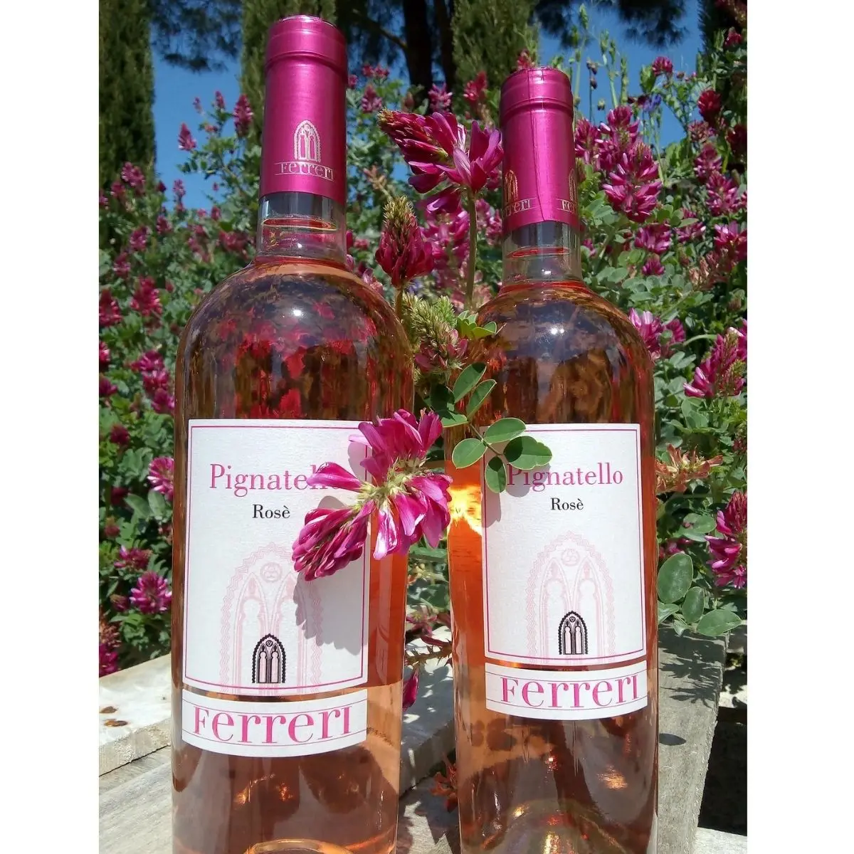 Rose Wine High Quality Italian FERRERI Table Restaurants Wine Shops Grapes Pignatello Bottle 750ml Packaging Alcohol Grade Weigh