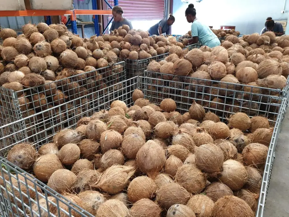 Desiccated Coconut 25kg bag high quality food ingredient