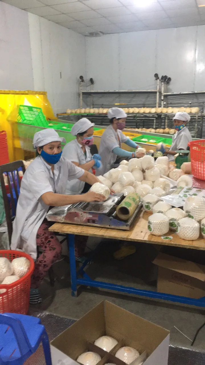 Хороший вкус хорошее здоровье производитель из Вьетнама фруктовый сок безалкогольный напиток