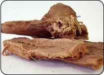 PURE & ORGANIC Saraka indica Powder Saraka indica  |  ASHOKA PATTAI Powder uterine from Indian Agri Farm Whatsapp + 919619091811