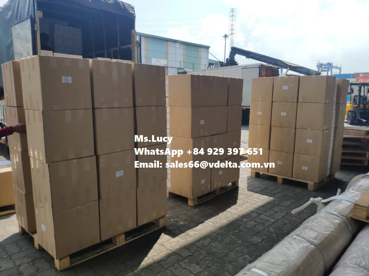 Экспорт высококачественного порошка для костей морской слепки/сушеная косточка морской слепки/вьетнамская косточка морской слепки мс. Люси + 84 929 397 651