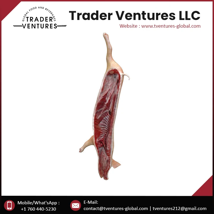 
High Quality Pork Carcass 2-Way Cut Supplier and Exporter 