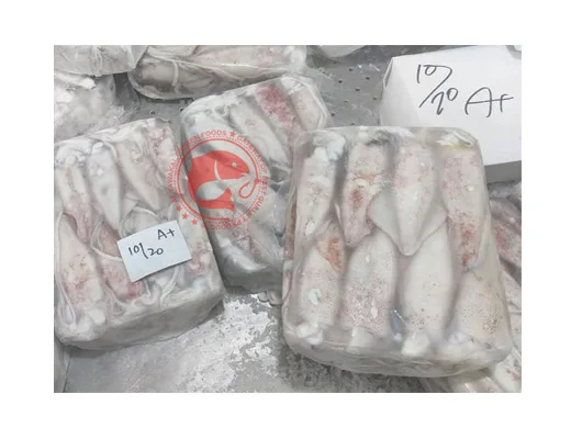 Frozen Whole Loligo Squid For Export in Bulk Quantity High Quality Frozen Loligo Squid Available in Multiple Sizes