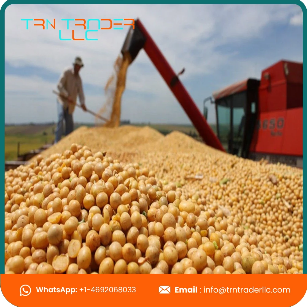 Производитель продуктов питания и глобальный экспортер соевой муки для корма для животных с высоким содержанием белка