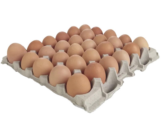Quality Chicken Fresh Brown / White Table Eggs for Human Consumption