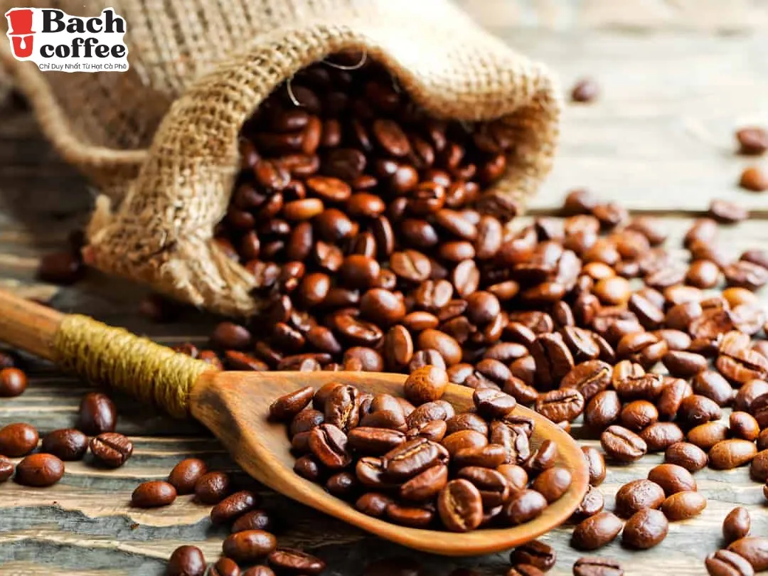 Кофейные зерна Арабика робуста/итальянское эспрессо средней темной обжарки/сильный вкус/пакет 250 г