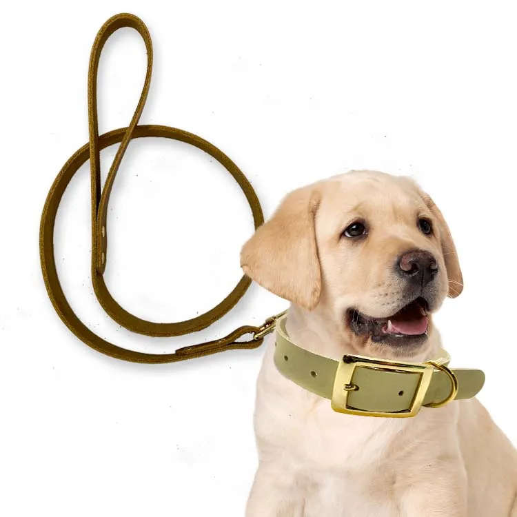Classic Color Light Full Grain Leather Lead Luxury Dog Chain Leash For Dogs