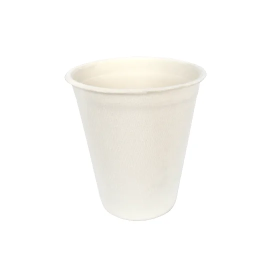 Compostable Sugarcane Biodegradable Cup 260 ml