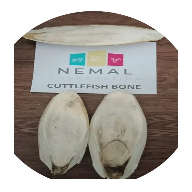 
DRIED & FREEZE CUTTLEFISH BONE 