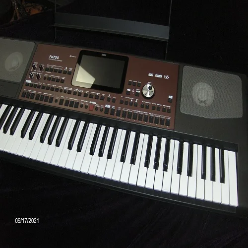 Best Sales For New Korg PA700 61 Key Professional Arranger With Touchscreen and Speakers - Black