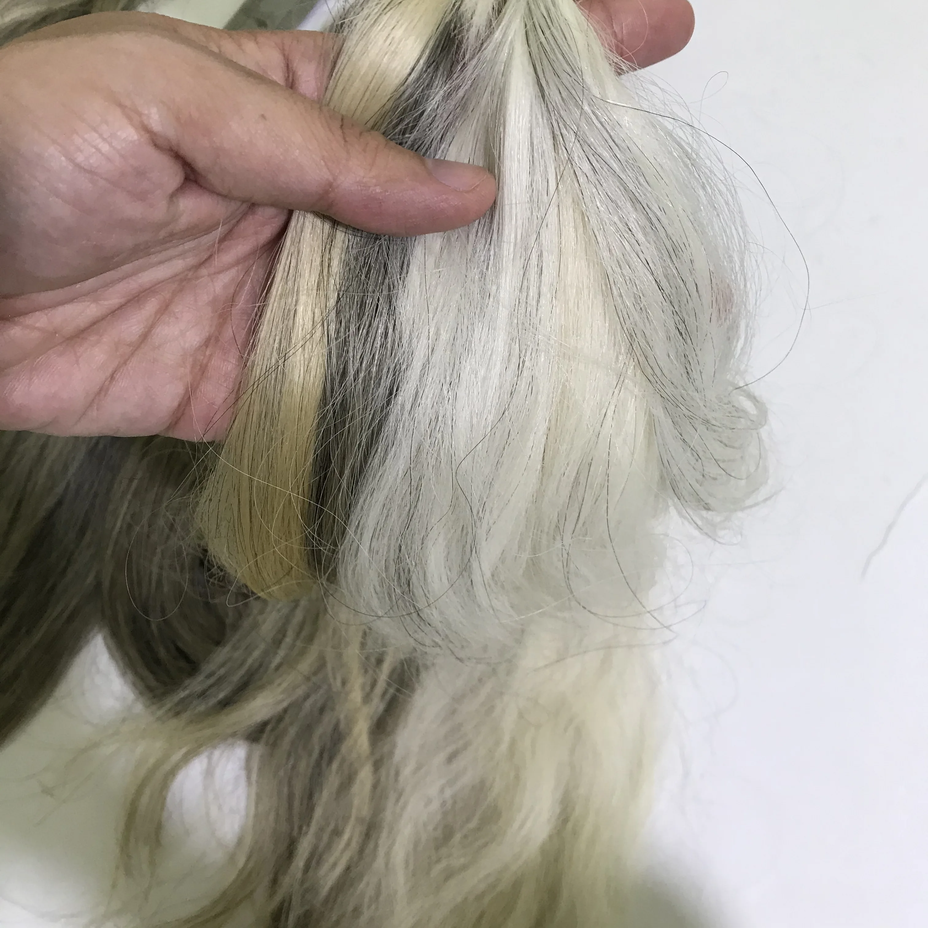 Grey hair bulk from old women, natural white grey hair bulk, unprocessed grey hair of Human Hair Vietnam
