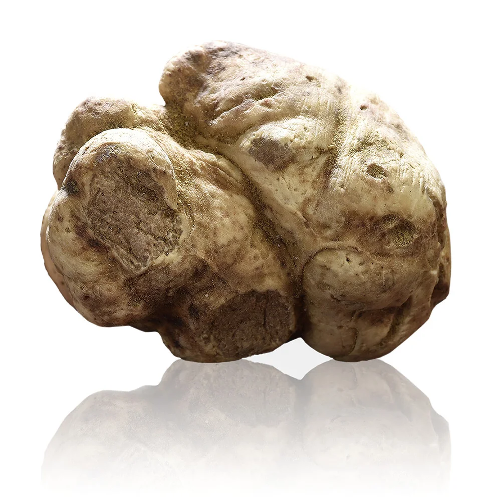 
Fresh Wild Black Italian Truffles 