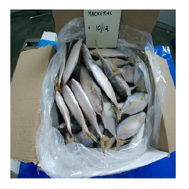 Quality Frozen Atlantic Mackerel For Sale