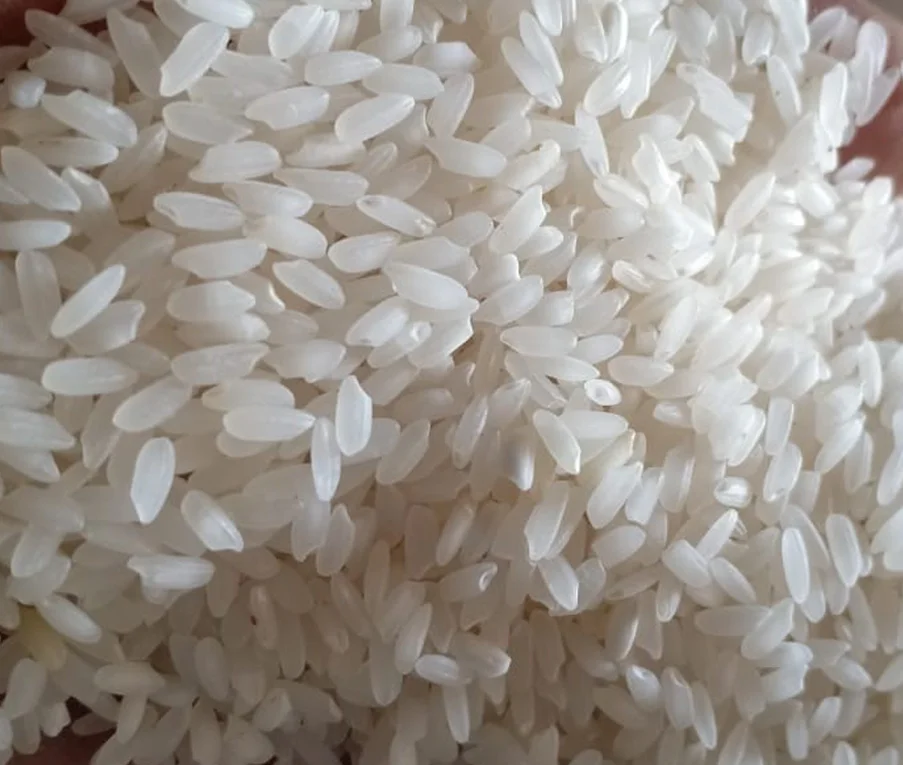 
Premium Quality Indian Swarna Raw Rice 