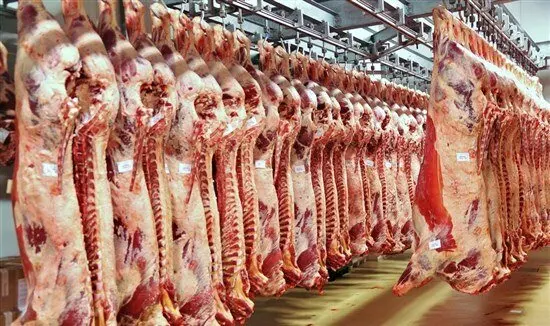 HALAL MEAT for Export