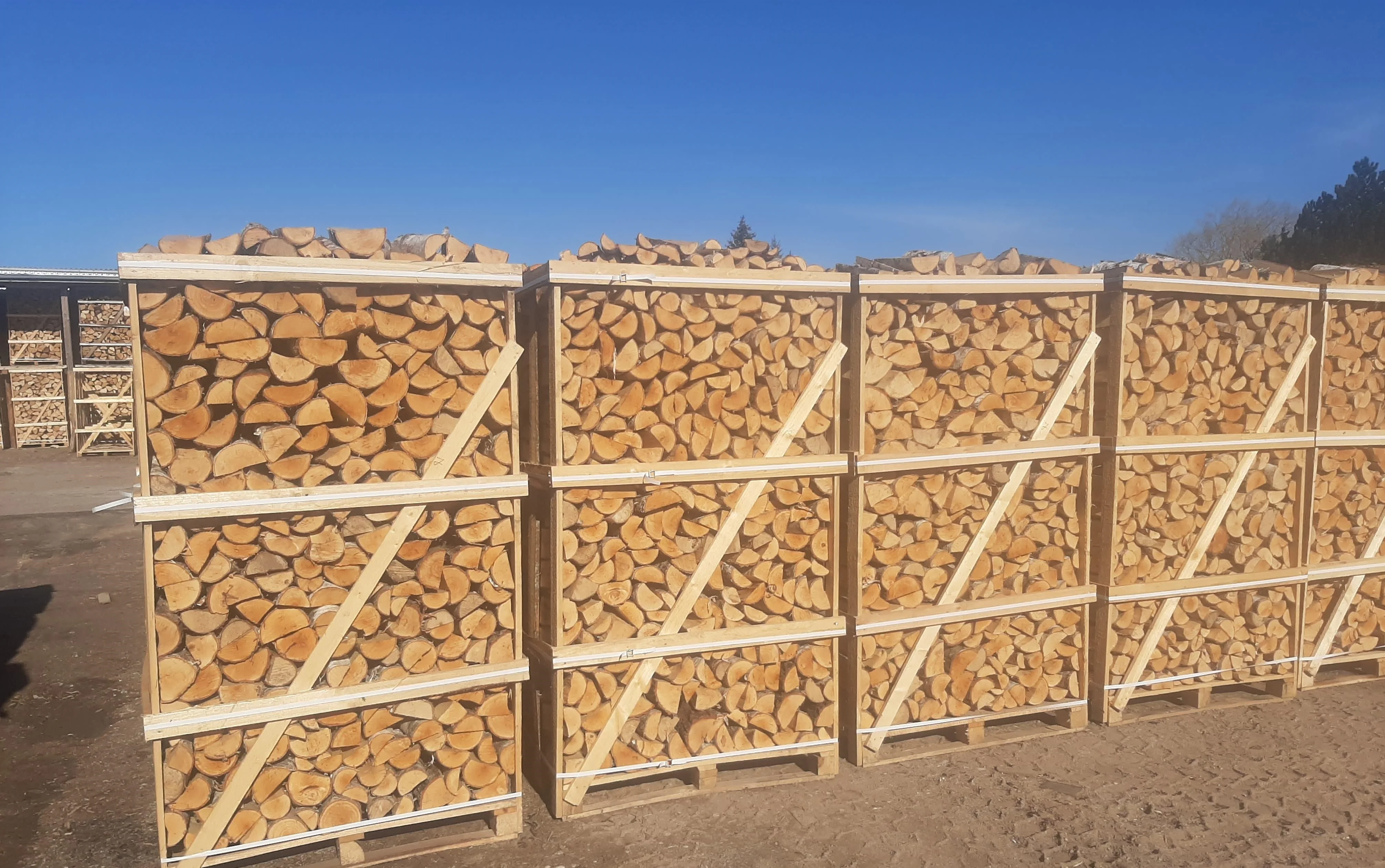 Kiln dried beech/Oak/ Ash / Birch