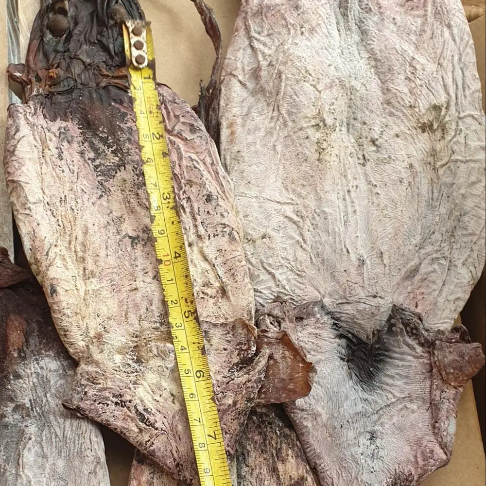 
DRIED SQUID FOR SALE 