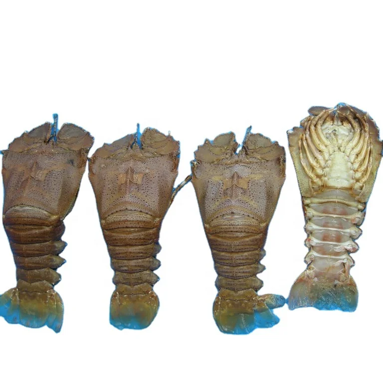 
FROZEN SAND LOBSTER 