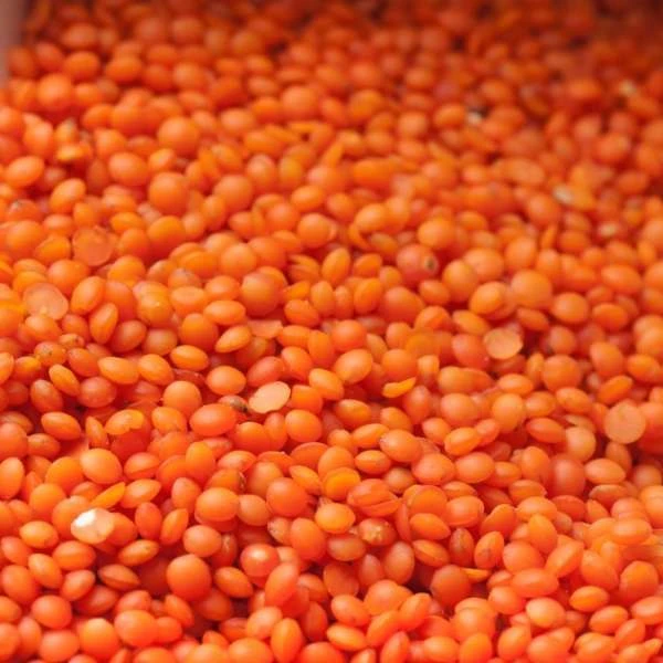 
Fresh Red Lentil for Europe Bulk Style Packing Packaging Color Weight Shelf Origin Type Life Dried Product Place Model Years Kgs 