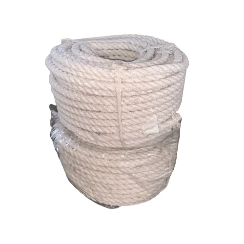 Middle East Market Wholesale 4mm 6mm 8mm 10mm 12mm 14mm 16mm 18mm 20mm Twisted Cotton Rope Packaging Rope Tent Tarpaulin Rope