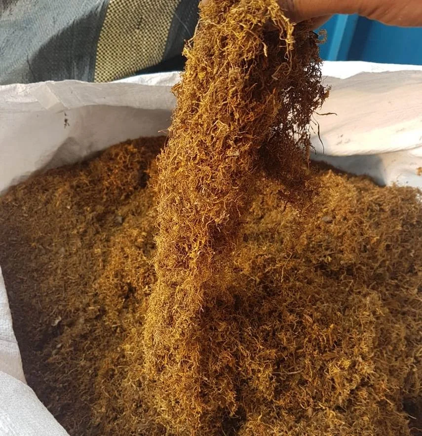 Индийские Золотые листья Таро золотые скрученные травы золотого цвета для рулона ваши собственные альтернативные травяные смеси оптом