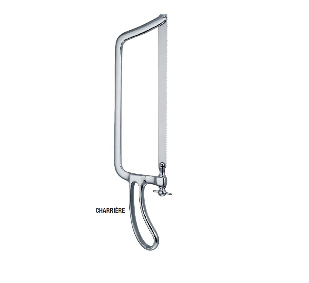Charriere Amputating and resection saws bone surgery instruments