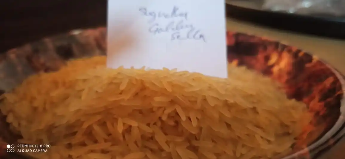 
Golden Sella Indian Basmati rice Exported From India 