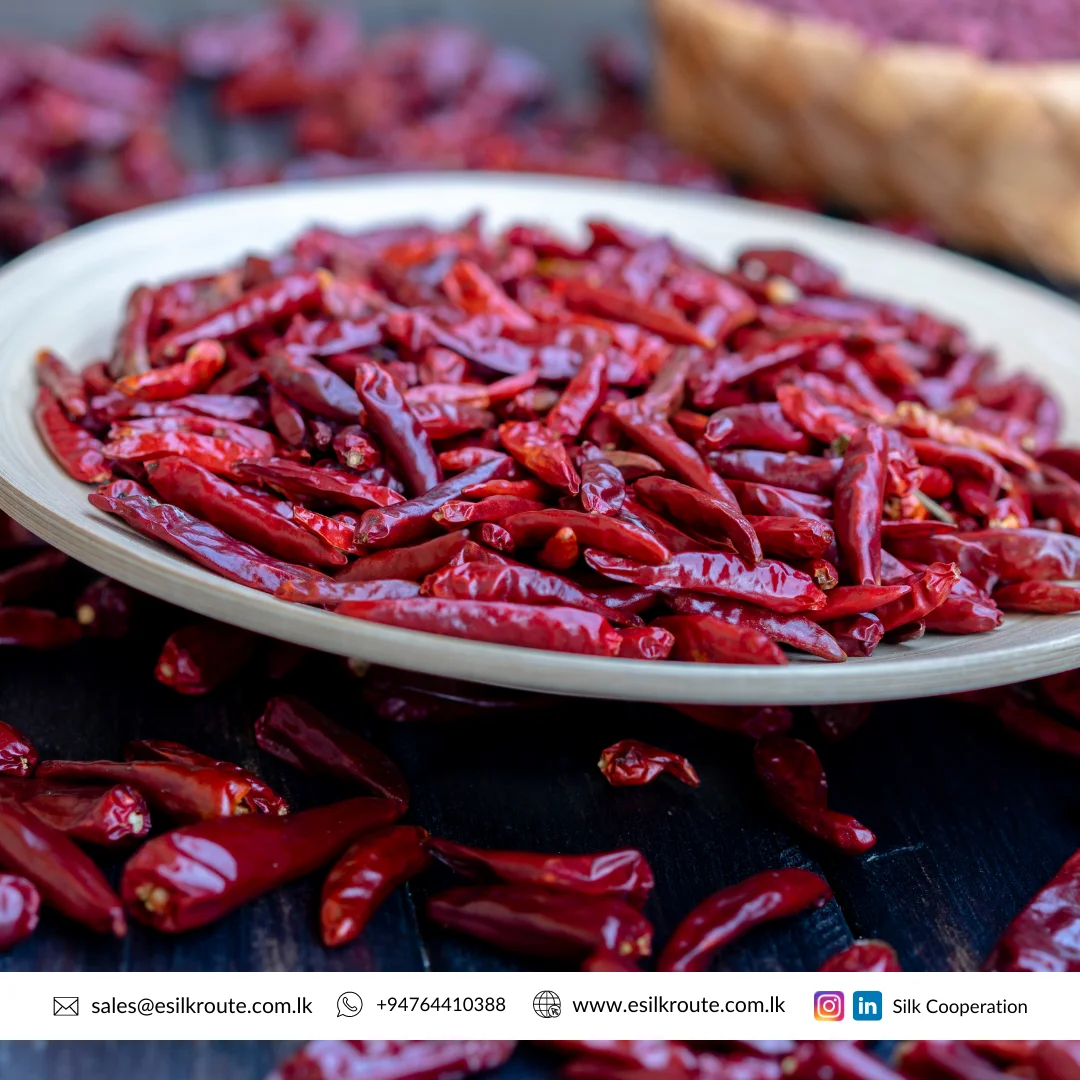 100% Pure Fresh Red Hot Organic Natural Dried Chili Pepper Pods from Sri Lanka