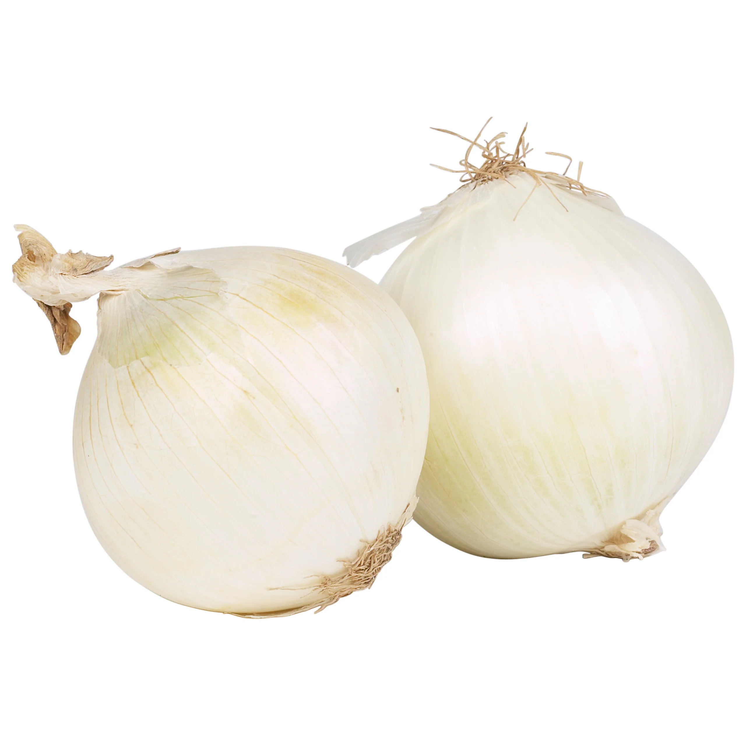 Белый лук-свежий высокое качество