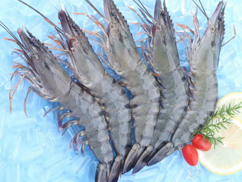 Wholesale High Quality Fresh Seafood Raw Vannamei Shrimp Made in Vietnam in stock on sale best for export