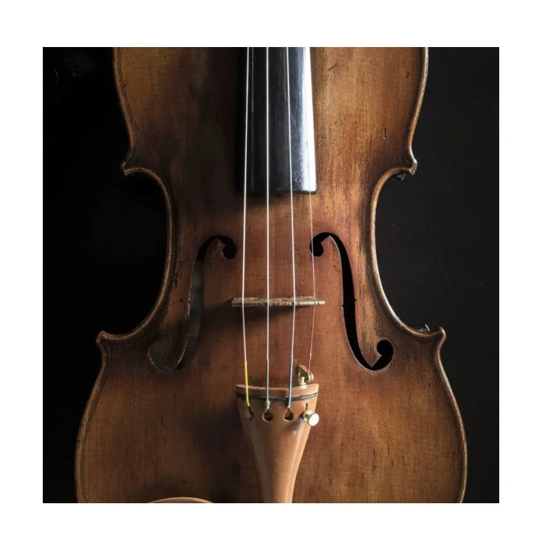 
Hot Selling Price Of Used Rocca Enrico Violin Made In Italy From Japan in Bulk Quantity 