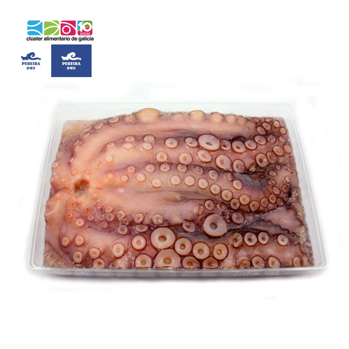 Frozen octopus on tray [Pereira productos del mar- Pereira Group]