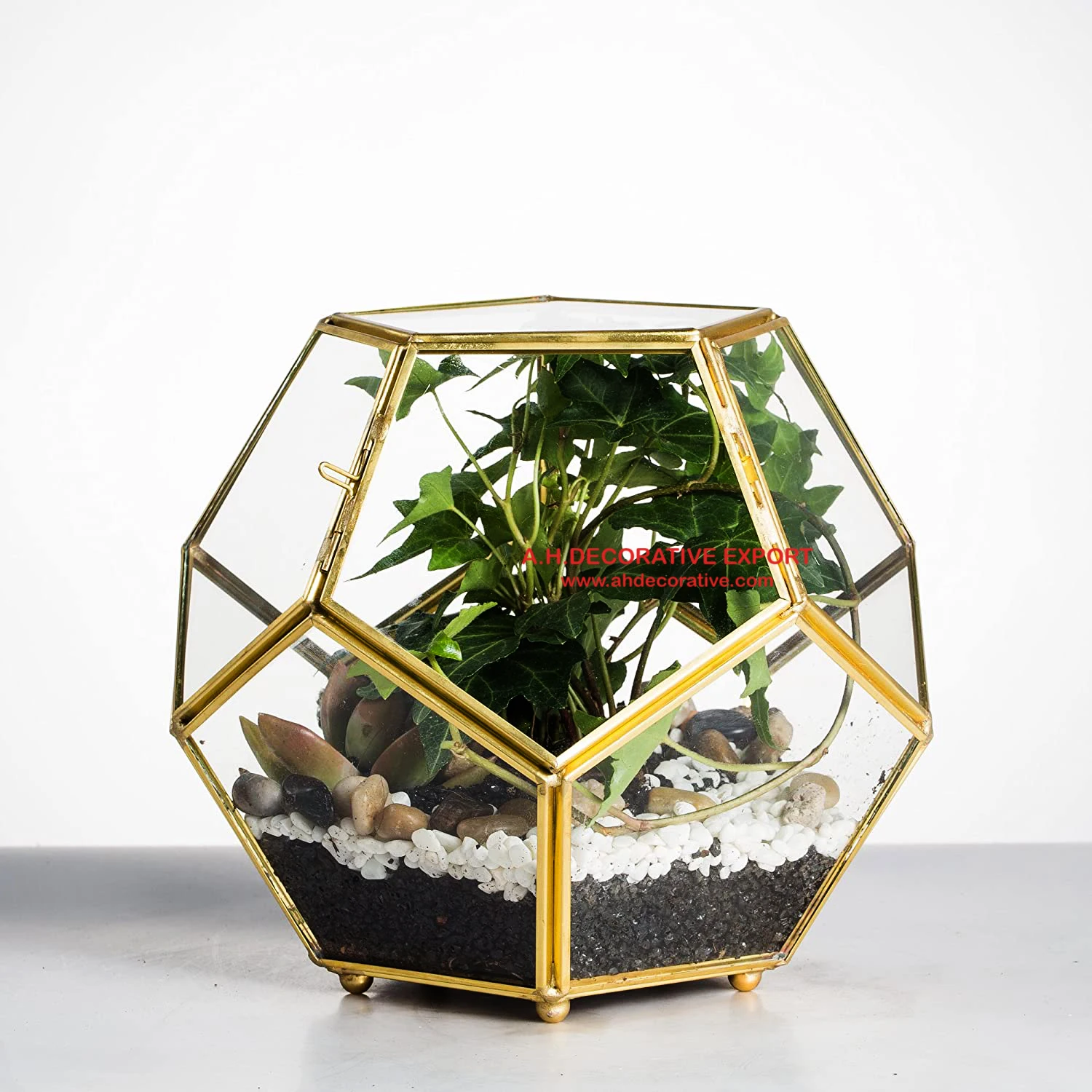 Gold Plated Frame Glass Terrarium Planter Vase Factory Direct Sales Home Decorative Flower Pots Planters