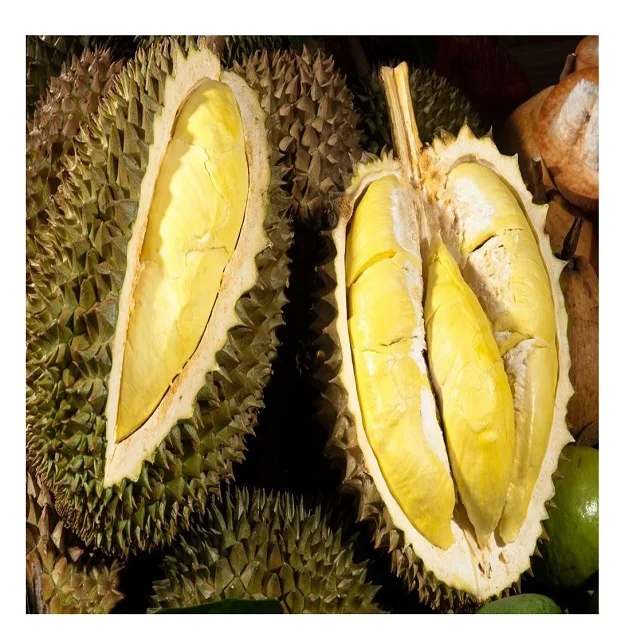 2021 Wholesale Fresh Durian Best Price High Quality for EU market Bio clean Global Gap in Vietnam Free Tax