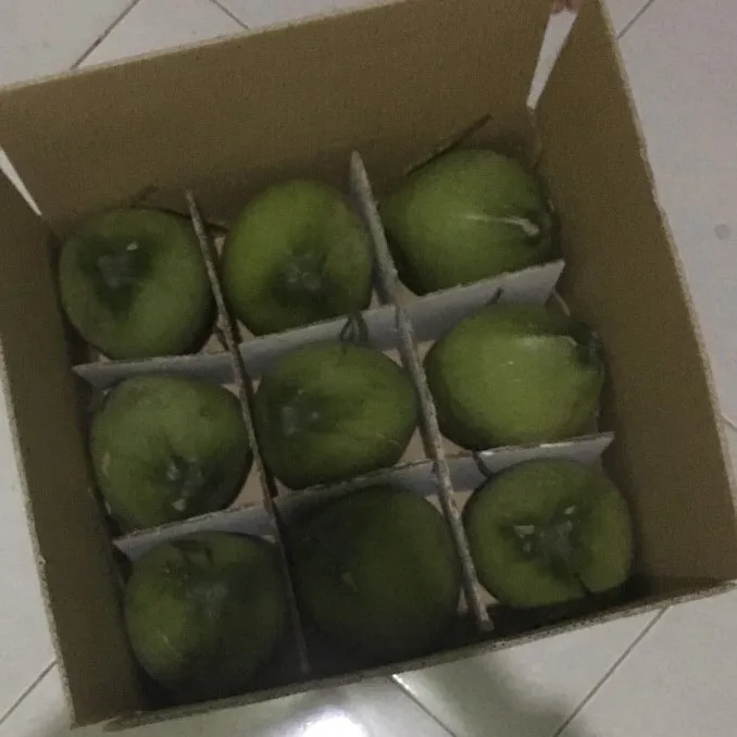 Зеленый кокосовый/Кокосовая Вода/кокосовый сок из Вьетнама