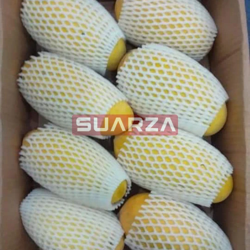 Natural Organic Fresh mango Nam dok mai high quality  exported at cheap price from Pakistan to all over the world