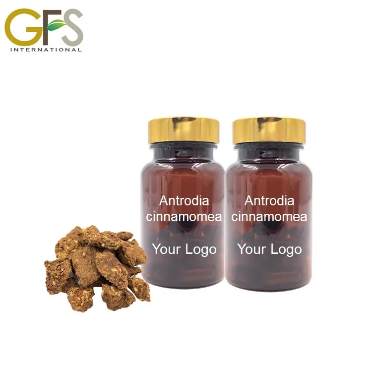 all types of Antrodia camphorata healthy foods