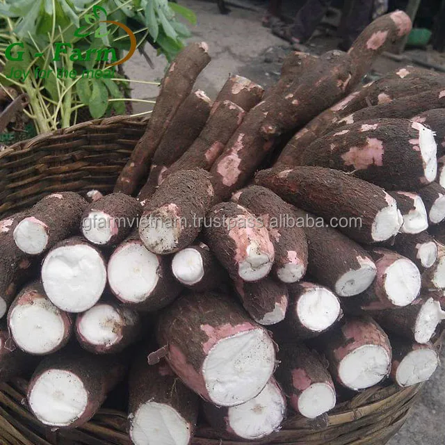 
Newest crop 2019 cassava flour tapioca with high quality 