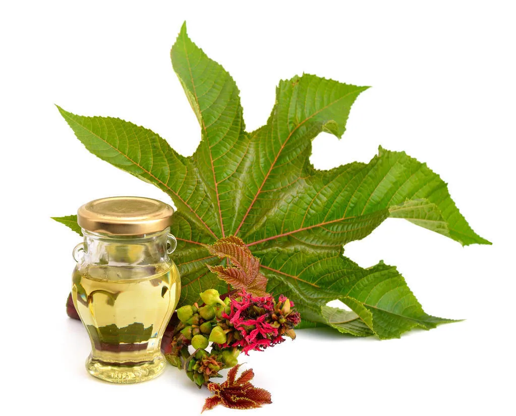 
100% Pure Organic Castor Oil (4 Oz) - Unrefined, Cold Pressed & Hexane Free - Best for Hair Growth, Eyelashes, Acne 